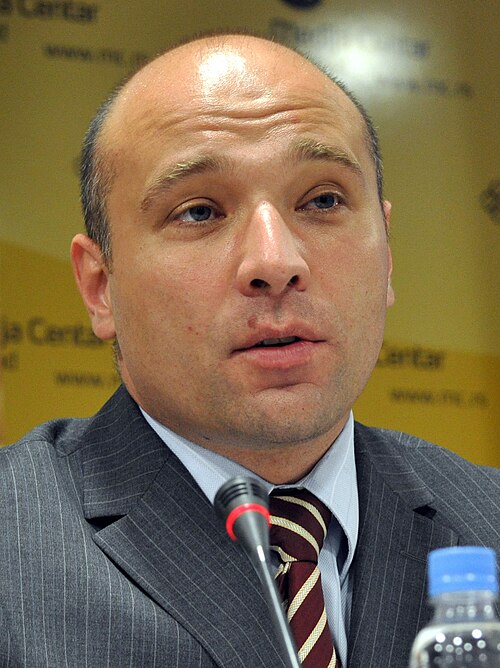 File:Sasa Dragin crop.jpg