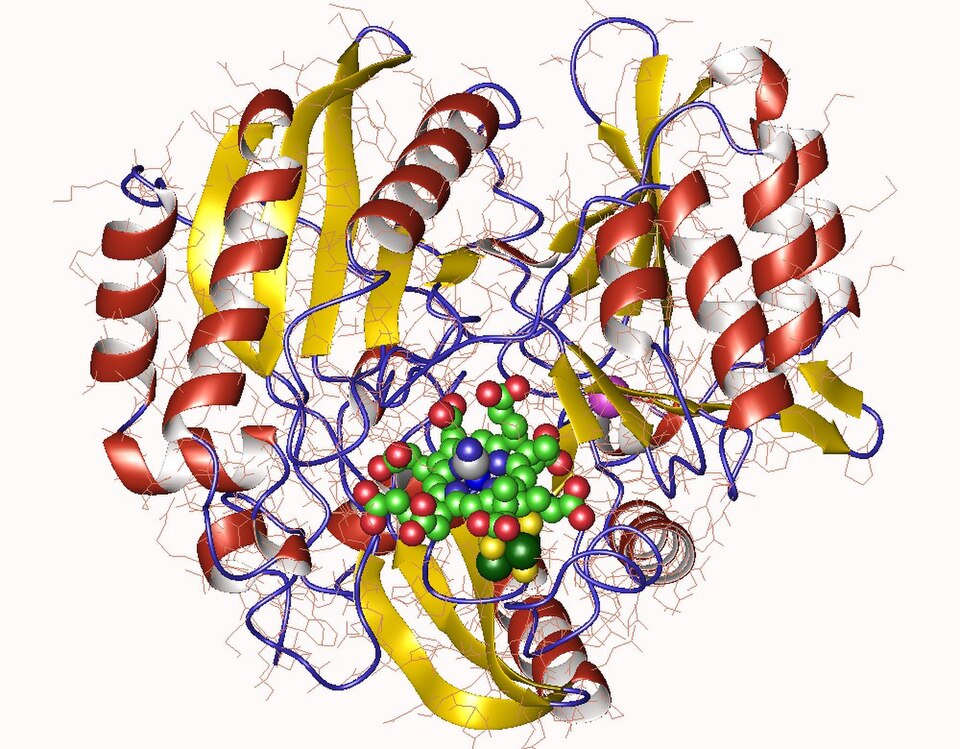 File:4gep.jpg