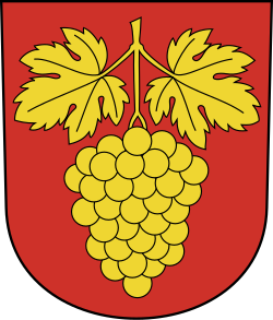File:CHE Truttikon COA.svg