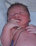 Thumbnail for version as of 08:58, 6 December 2008