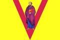 Flag of Pavlovsky District