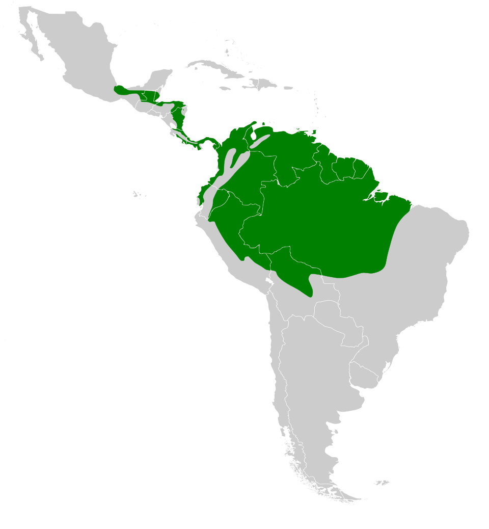 File:Florisuga mellivora map.svg