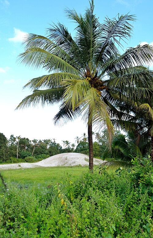File:Silica Sand.jpg