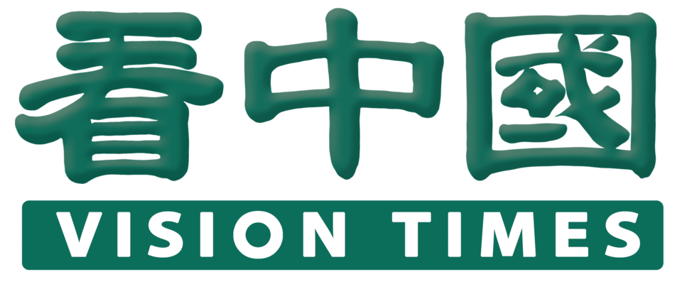 File:VISION TIMES.png