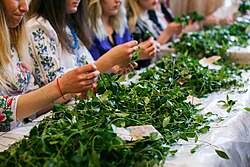 Women sitting at a table and stringing periwinkle leaves into a garland
