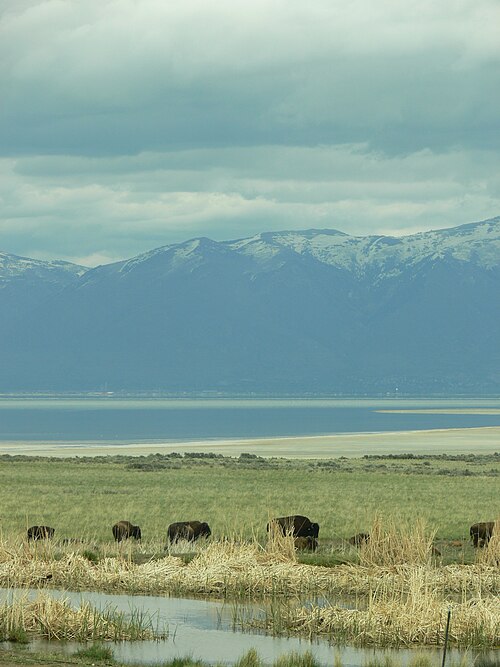 File:GSLview.JPG
