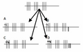 Thumbnail for version as of 16:24, 31 October 2011