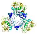 Thumbnail for version as of 03:51, 17 December 2009