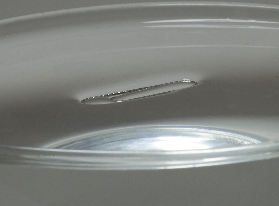 File:Water surface tension 3.jpg