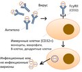 русский