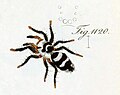 Thumbnail for version as of 20:54, 12 September 2025