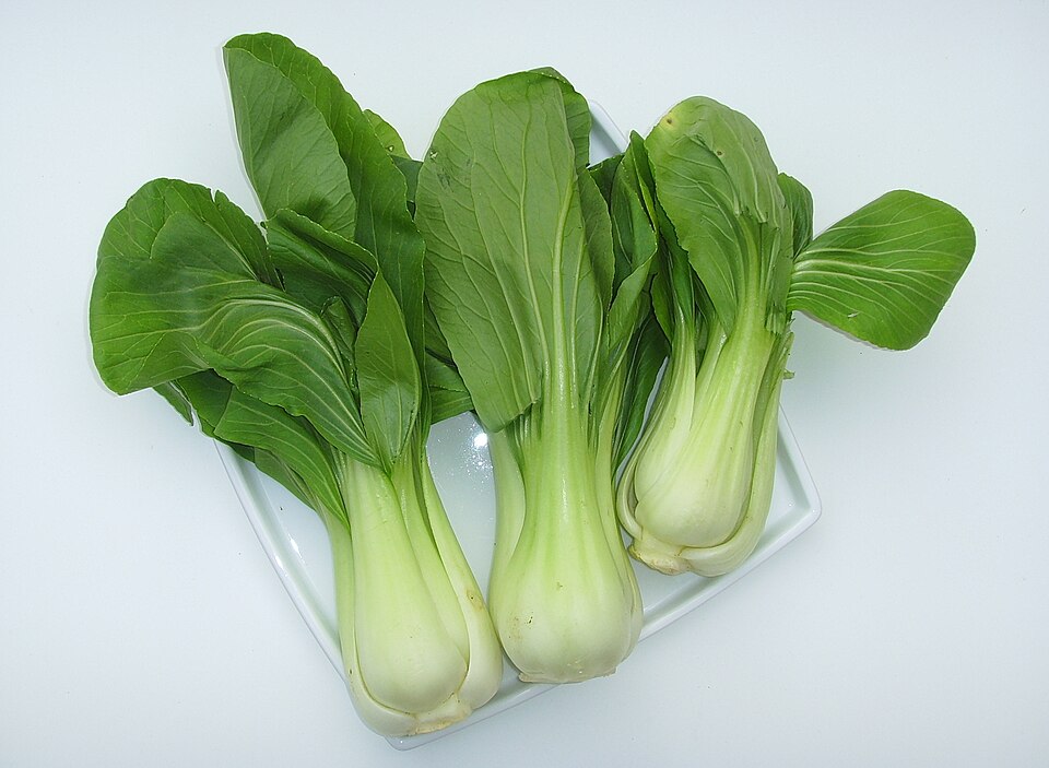 File:Baby Pak Choi (01).JPG