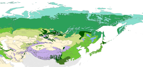 The eastern Palearctic biomes