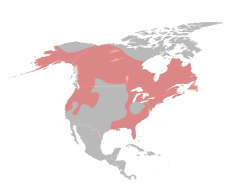 File:LontraCanadensisMap.svg