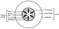 Thumbnail for version as of 14:48, 12 February 2006