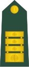 Polkovnik(Slovenian Ground Force)