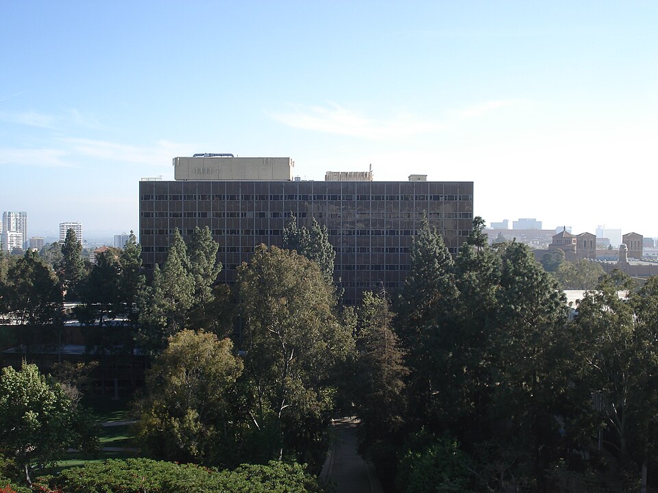 File:Bunche distant.JPG
