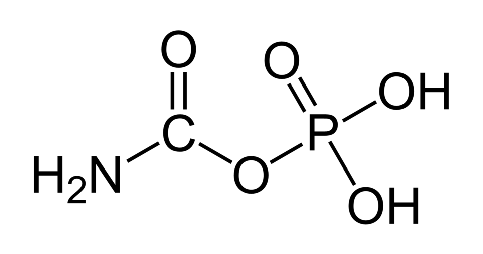 File:Carbamoylphosphate.png