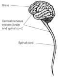 Thumbnail for version as of 09:07, 27 October 2005