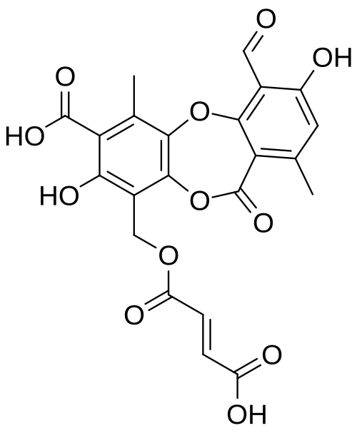 File:Fumarprotocetraric acid v2.svg