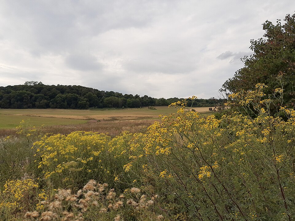 File:Meadow Lahnwanderweg.jpg