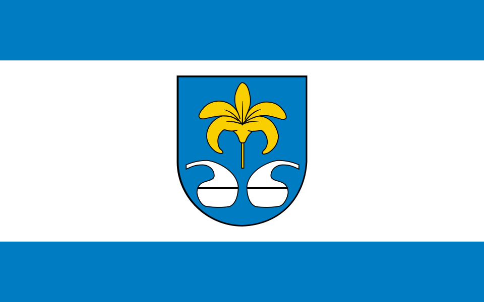 File:POL Nowa Sarzyna flag.svg