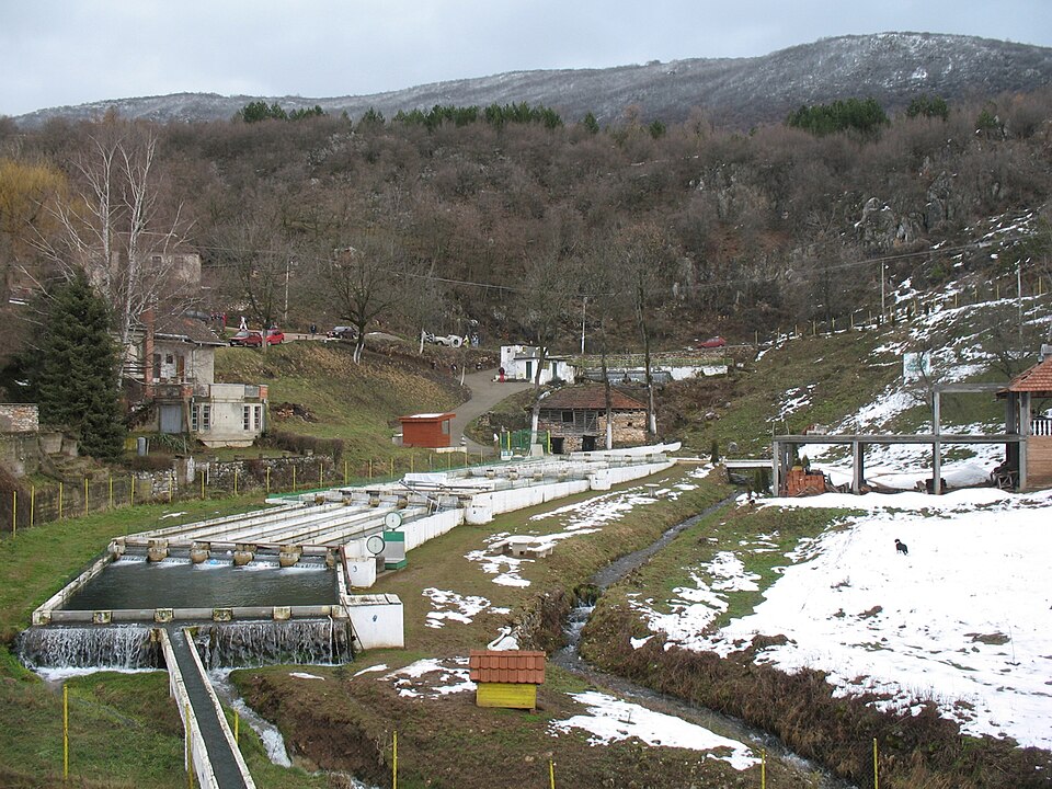 File:Ribnjak Gornji Dusnik.jpg