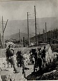 Austro-Hungarian soldiers in the woods of the Sette Comuni (Mount Zebio)