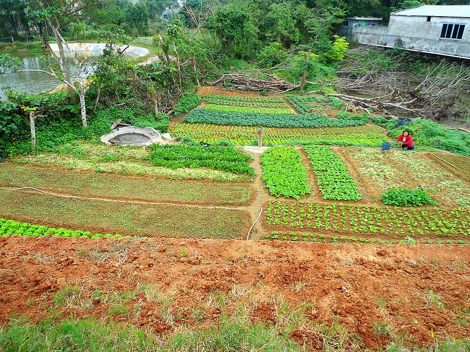 File:Small farm in Hainan Province 01.jpg