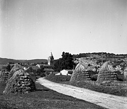 Brezovica in 1955