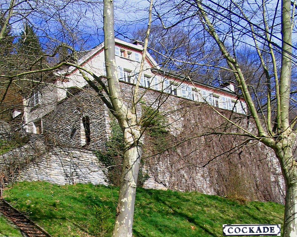 File:Cockade1.JPG
