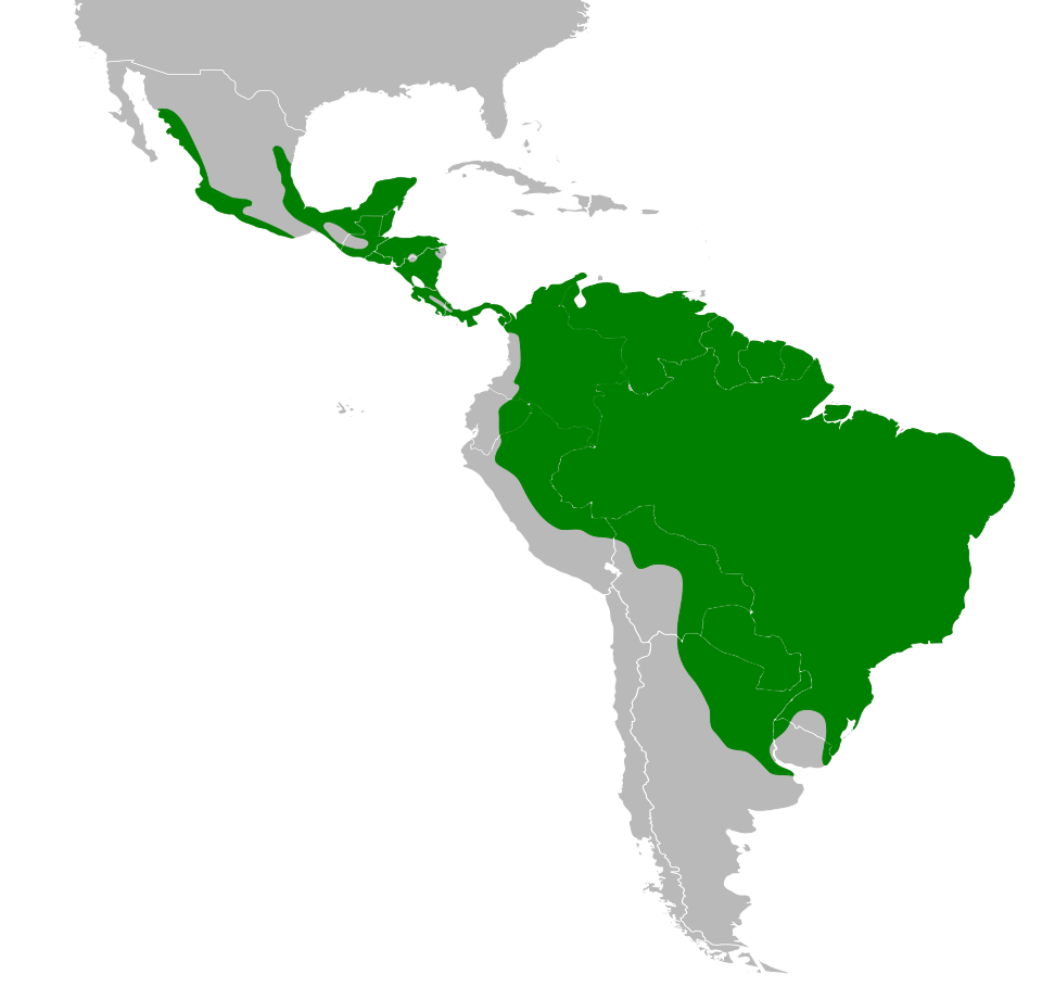 File:Columbina talpacoti map.svg