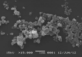 Thumbnail for version as of 11:44, 17 February 2026