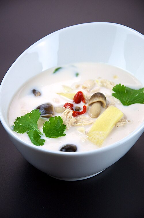 File:Flickr preppybyday 4711943668--Tom kha gai.jpg