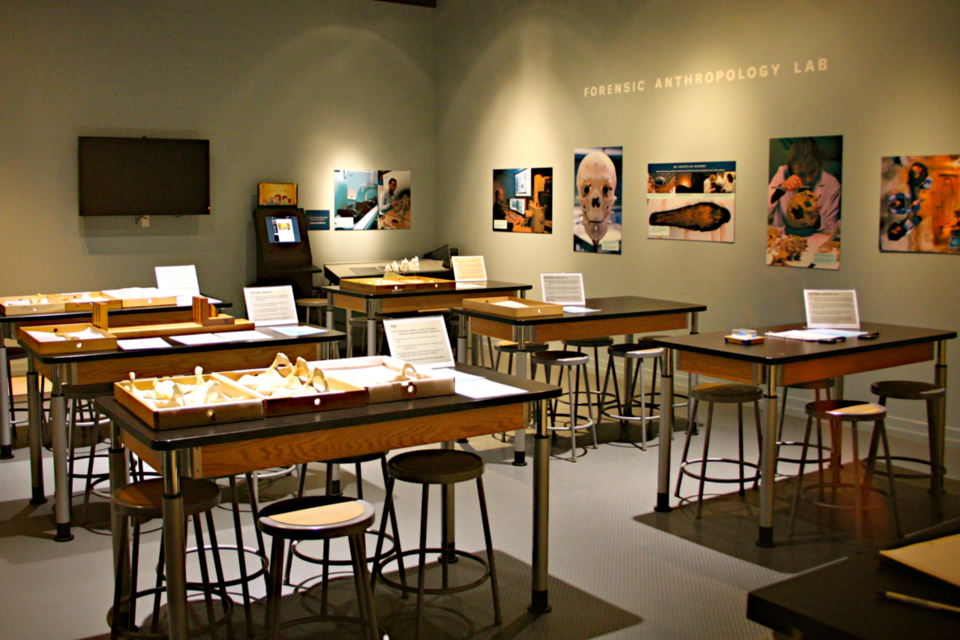 File:Forensic Anthropology Lab..png