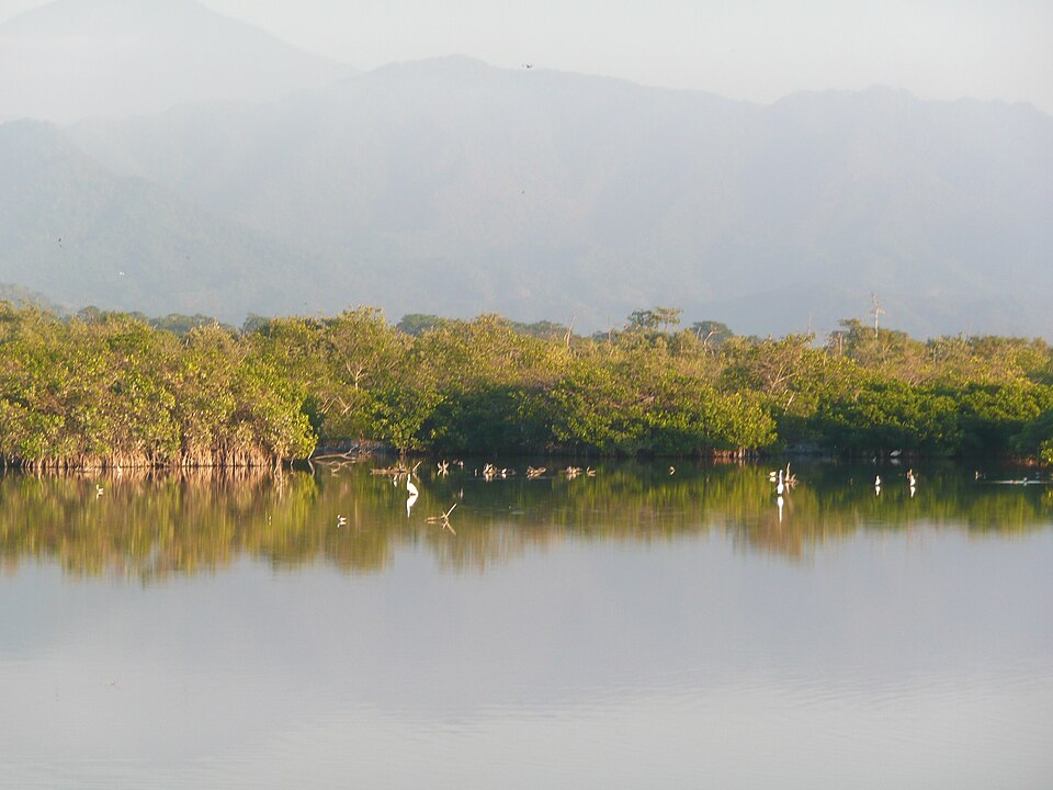 File:LA TOVARA.JPG
