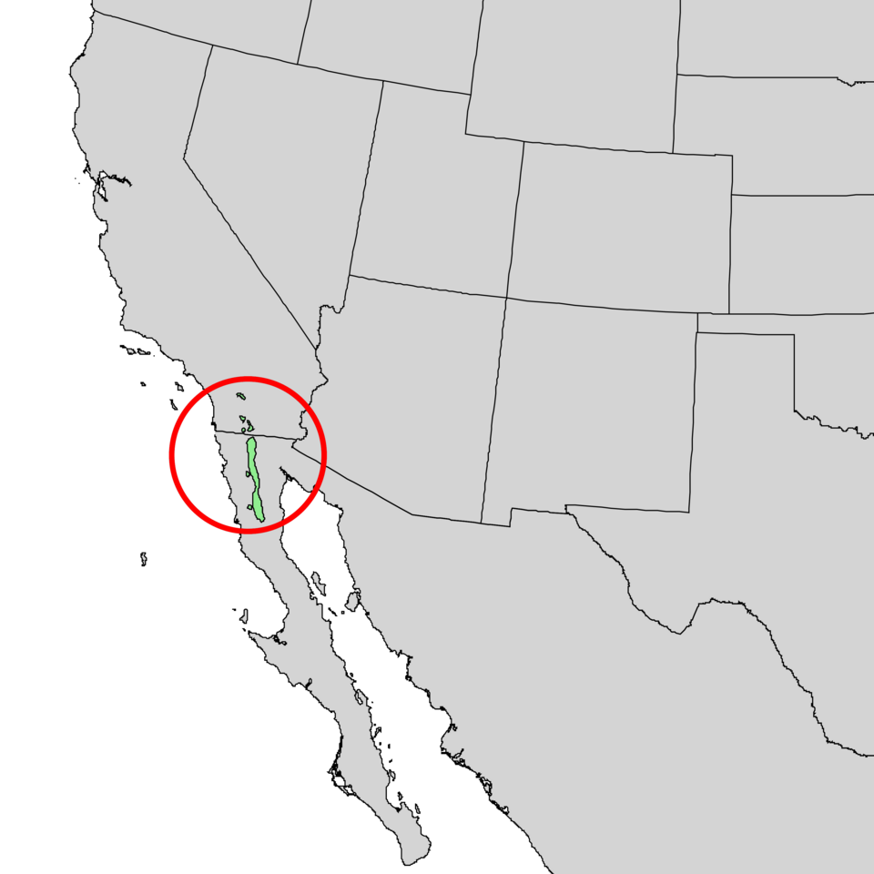 File:Pinus quadrifolia range map 2.png