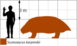 File:Scutosaurus size comparison.svg