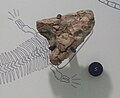 Thumbnail for version as of 16:28, 20 August 2012