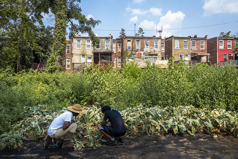 File:Urban farm, Baltimore (9373).jpg
