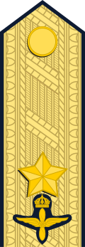 File:Sweden-AirForce-OF-6.svg