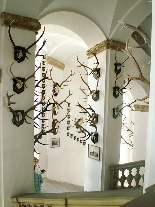 File:Usov.jpg