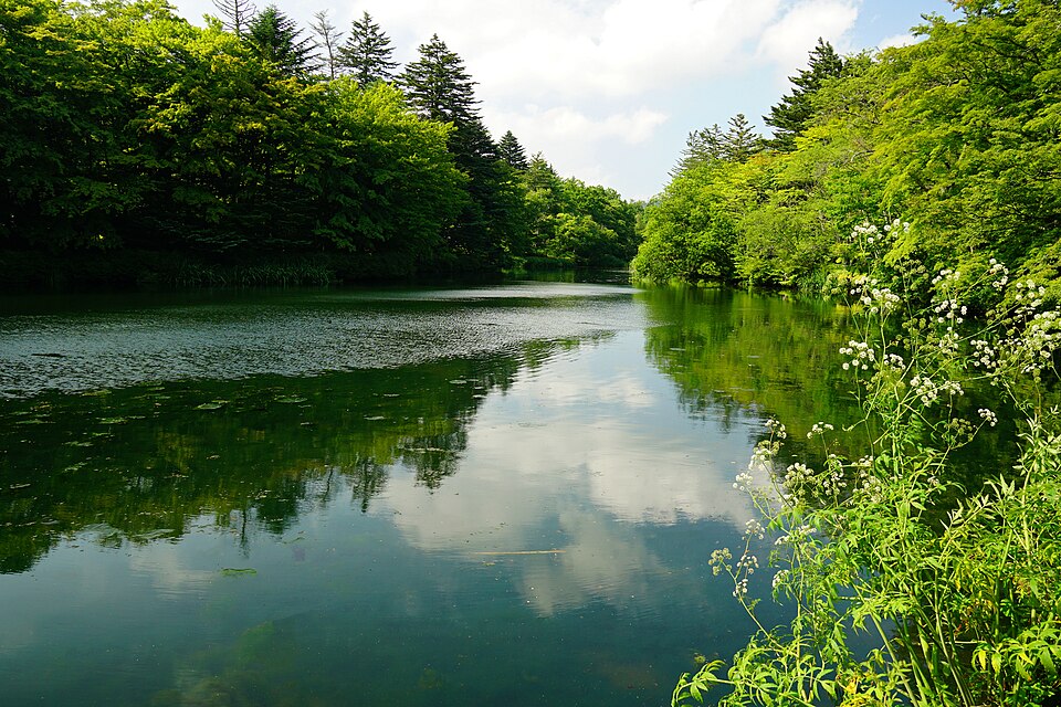 File:160729 Kumoba-ike Karuizawa Japan05s3.jpg