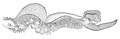 Thumbnail for version as of 08:32, 19 June 2010