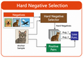 Thumbnail for version as of 14:21, 2 July 2026