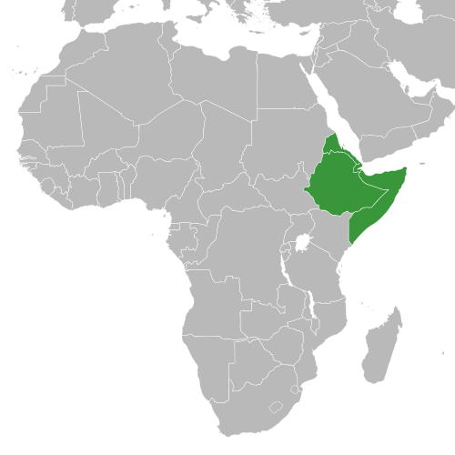 File:Horn of Africa states.svg