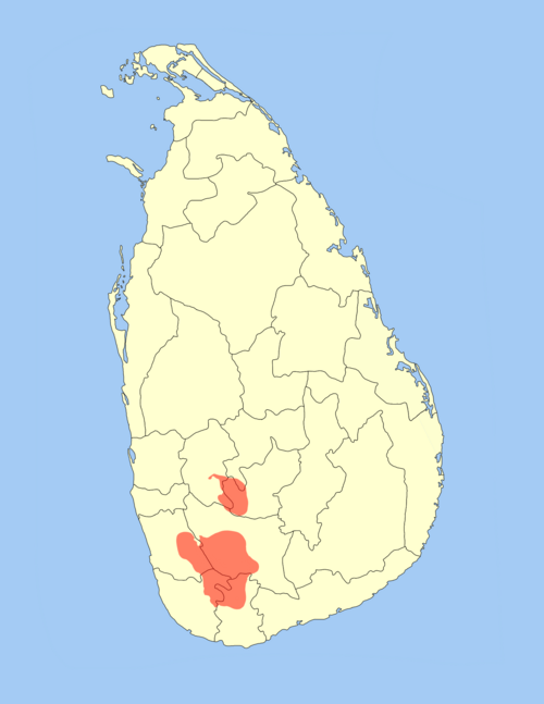 File:Otus thilohoffmanni range map.png