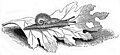 Thumbnail for version as of 19:05, 12 October 2008