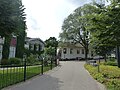 The 120 year-old 'Belgica' outside the  Hortus Botanicus, Amsterdam (2019), felled by a storm in 2023.