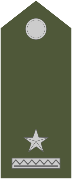 File:Army-SVK-OR-05.svg